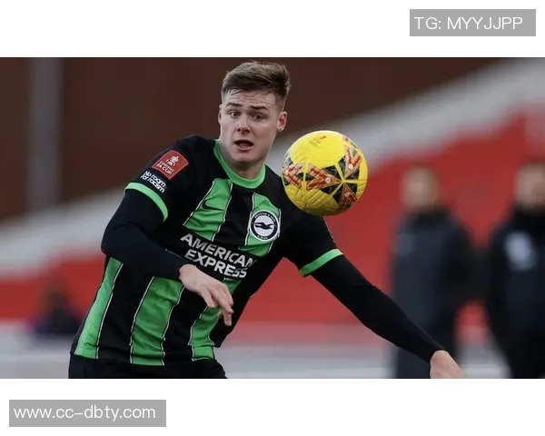 埃文弗格森成爱尔兰球员第三人为意大利俱乐部欧战进球